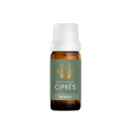 Ciprés