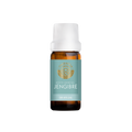 Jengibre