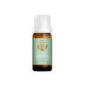Menta