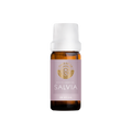 Salvia