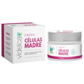 Células Madre