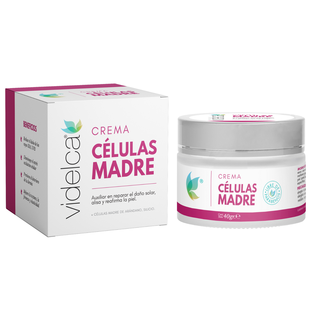 Células Madre