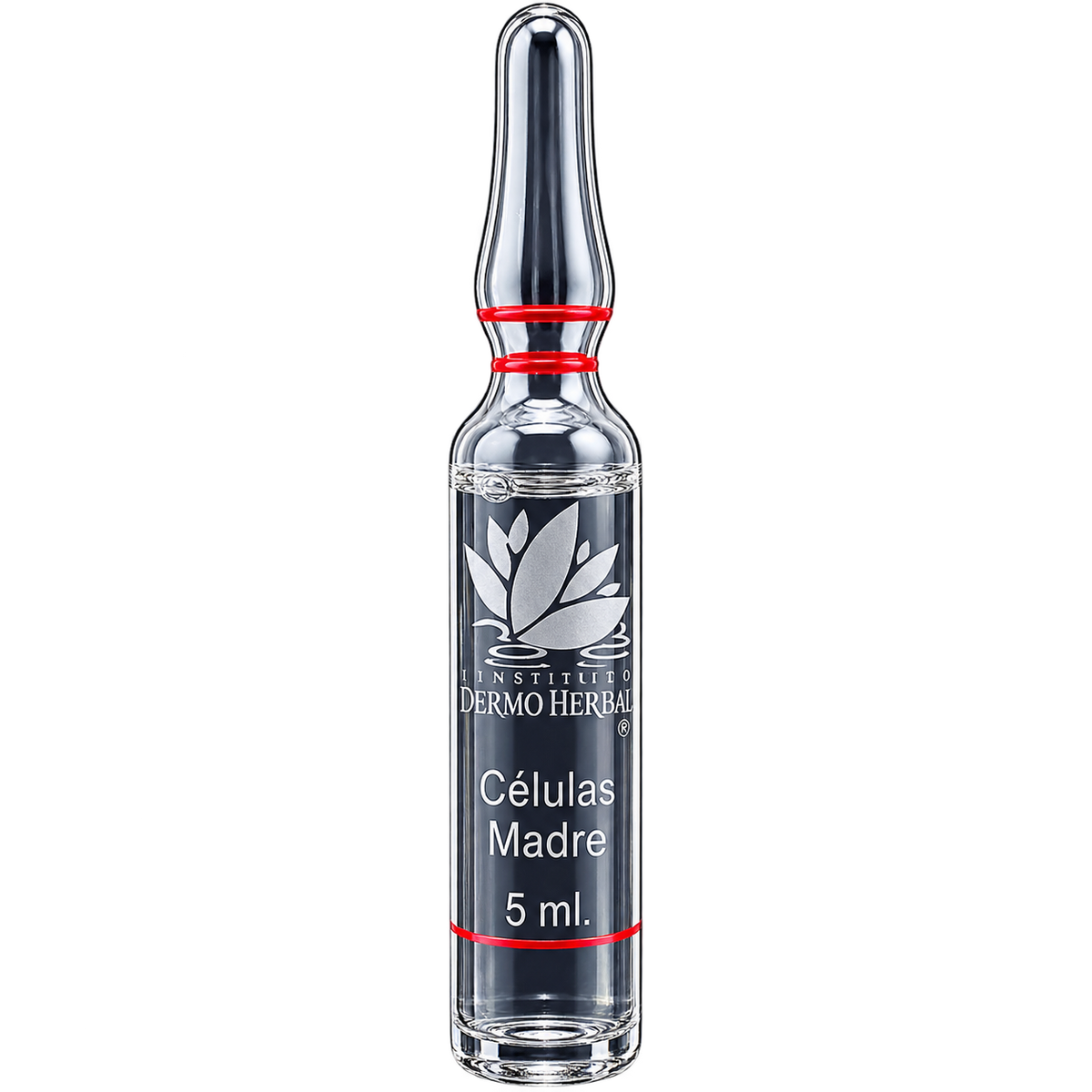 Células Madre