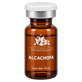 Alcachofa