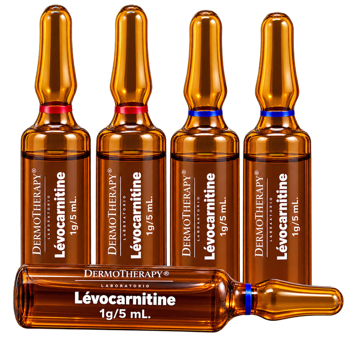 L-Carnitina